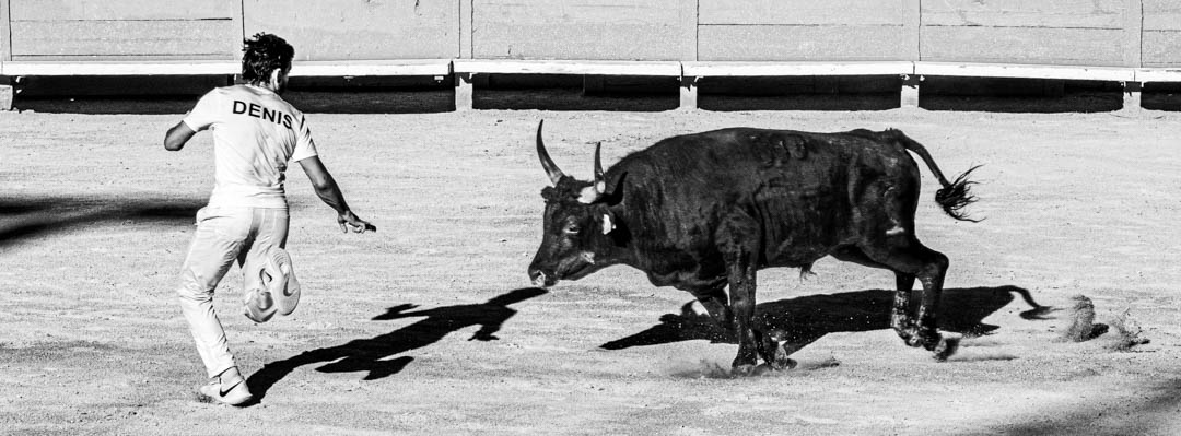 Stay! by Adrian Schaub