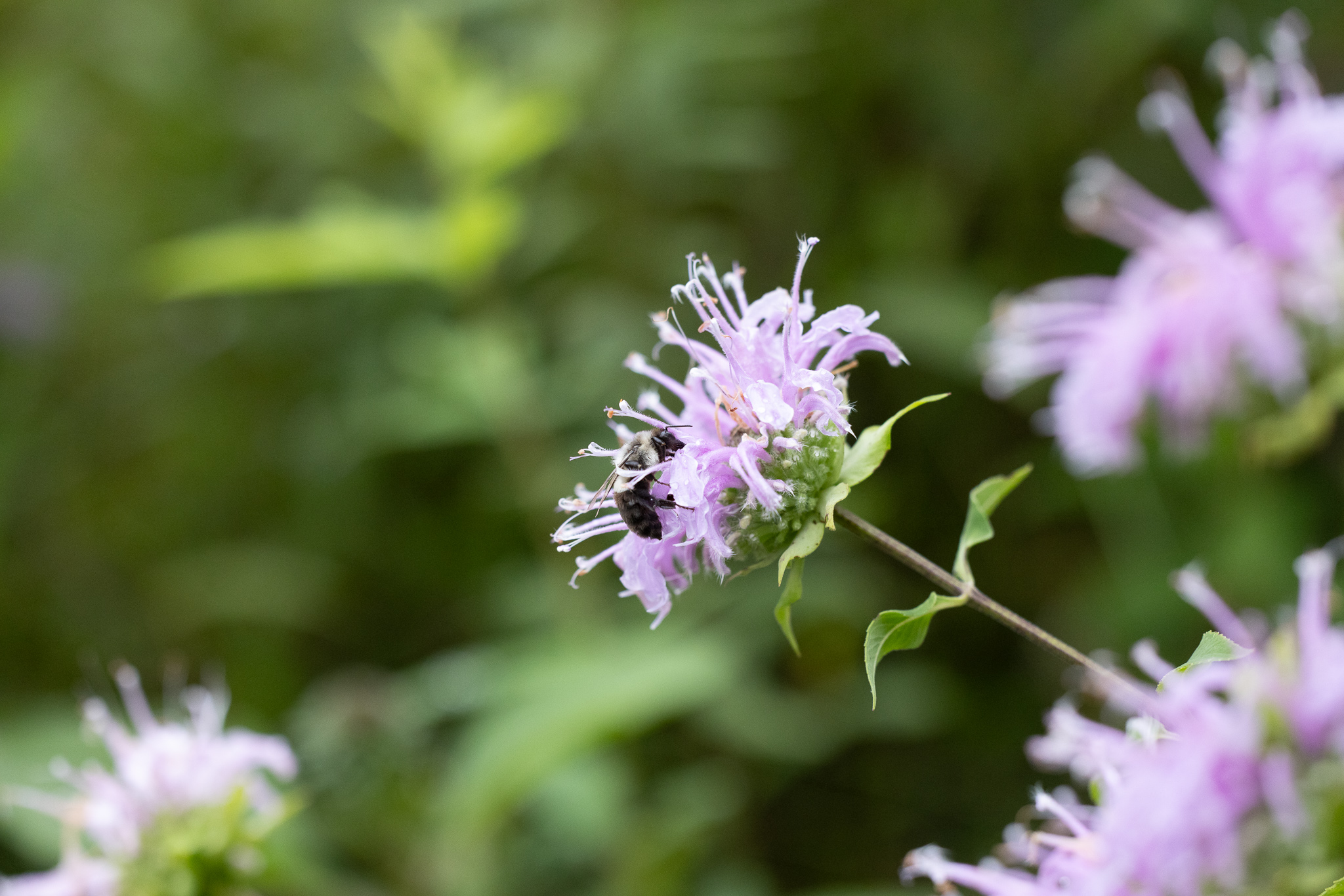 December 2025 - Chris Reinhold