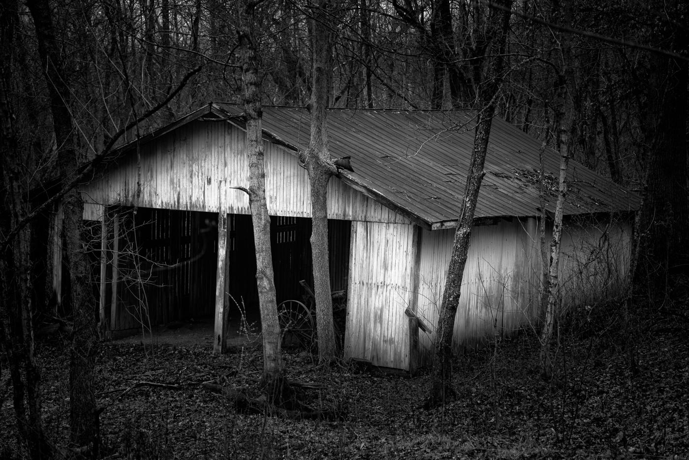 Abandoned Barn by Chris Reinhold