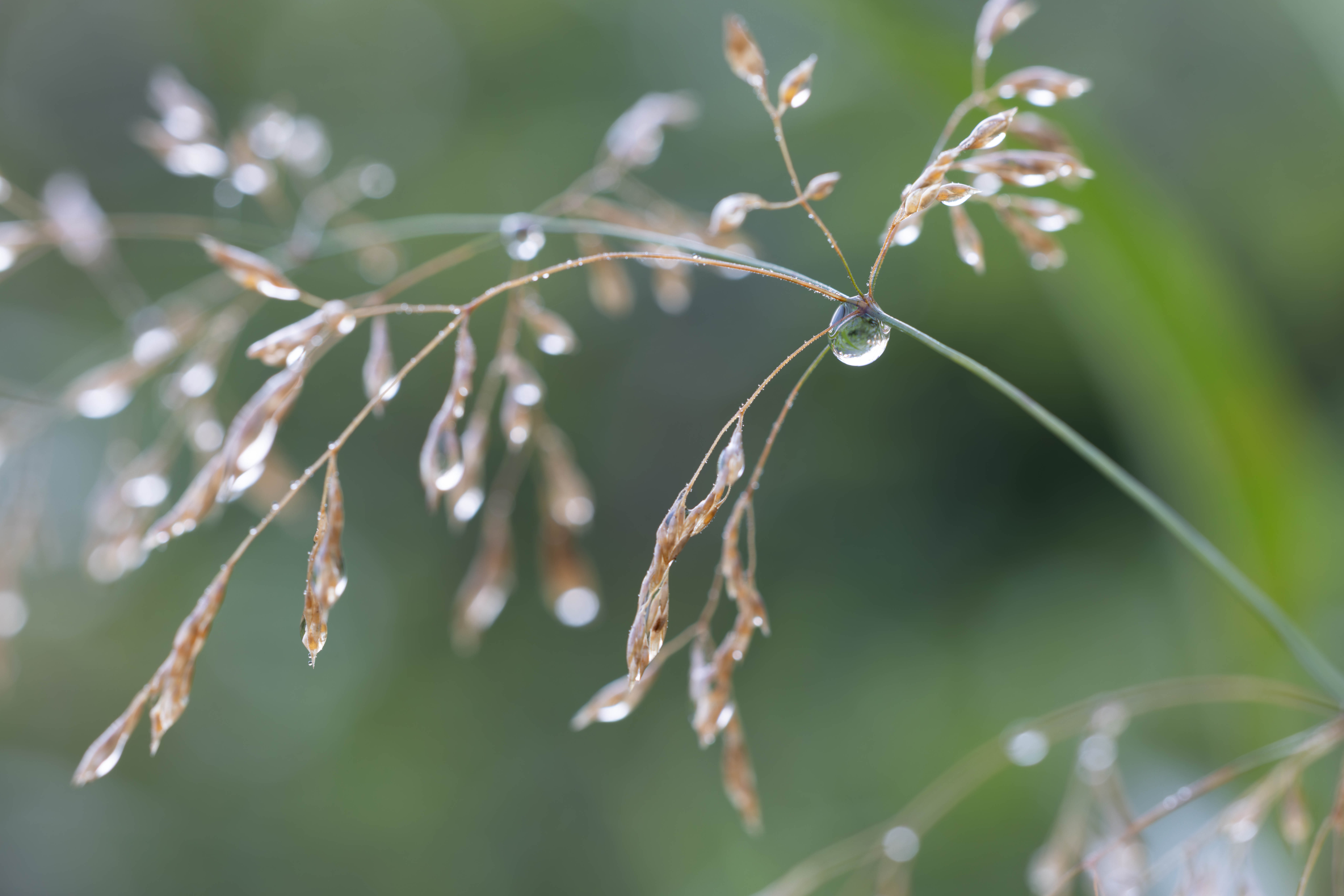 November 2025 - Chris Reinhold