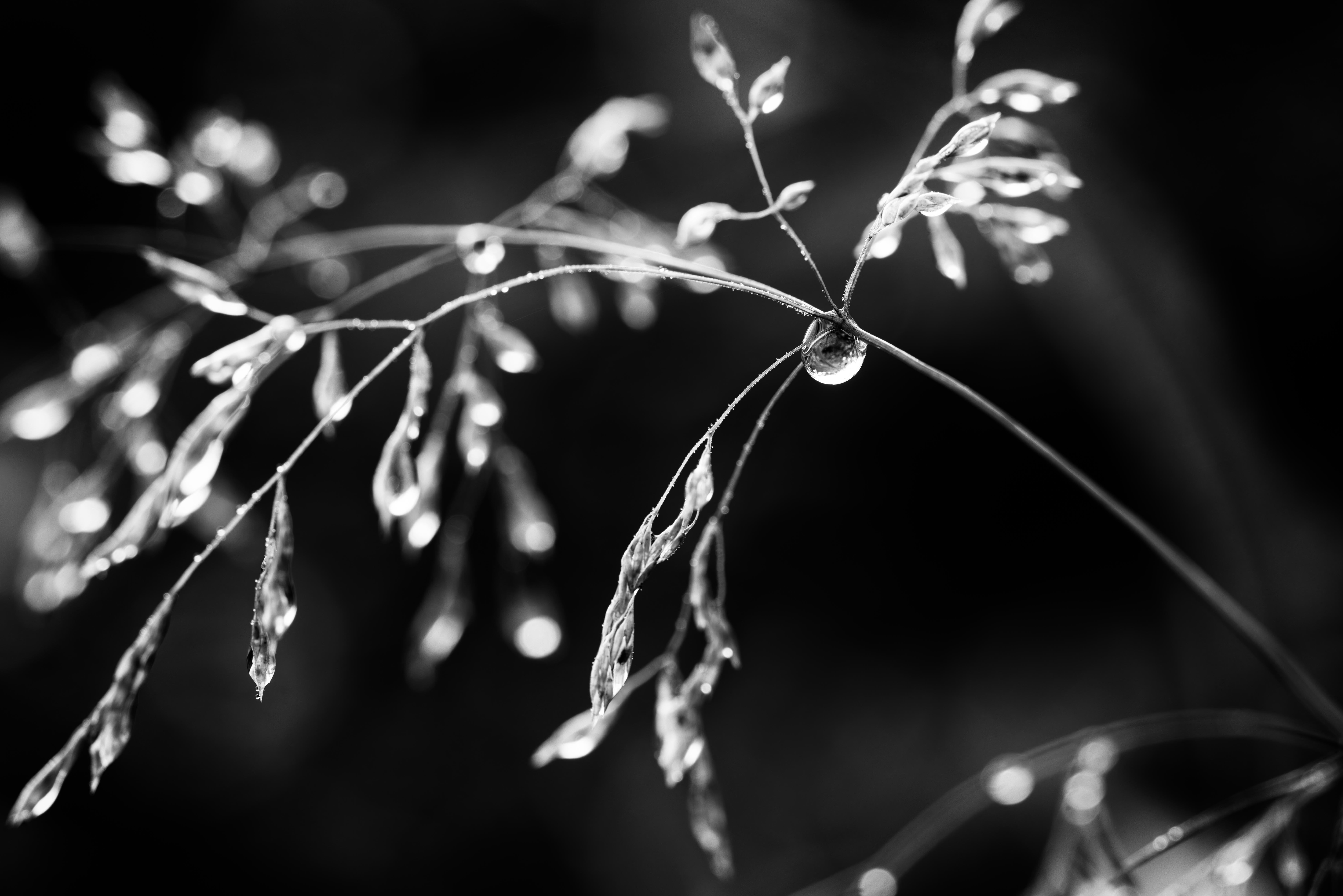 Fragile World in a Drop by Chris Reinhold