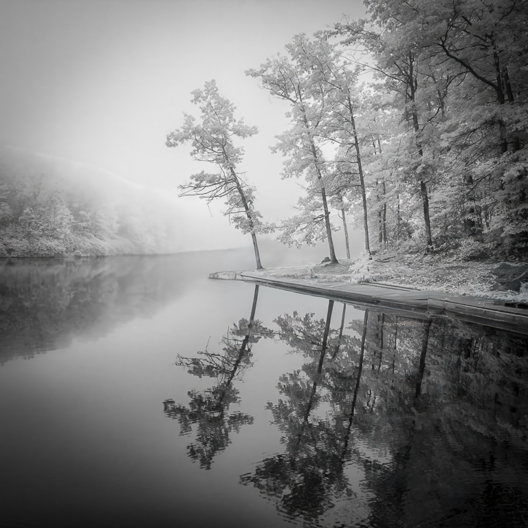 Tranquility by Emil Davidzuk