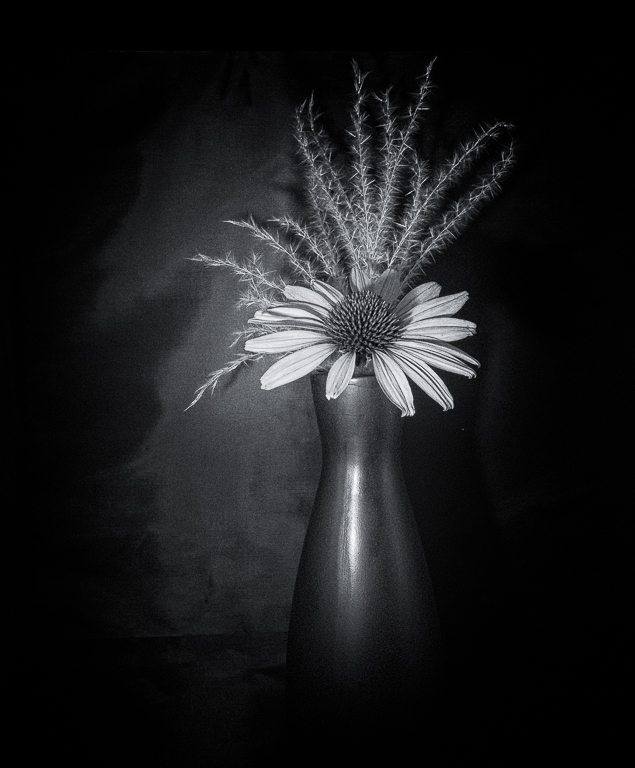 Cornflower Still Life