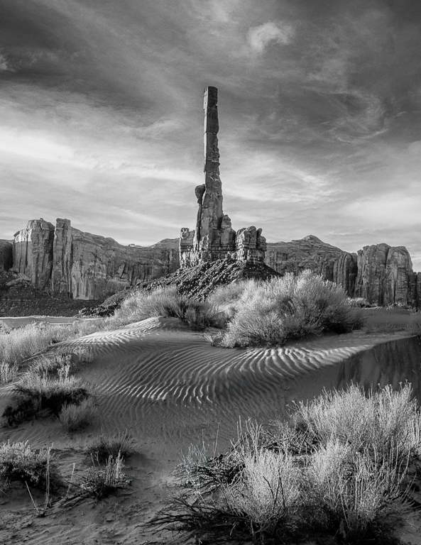 Totem Pole by Emil Davidzuk