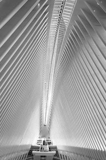 From Inside the Oculus by Mark Braun