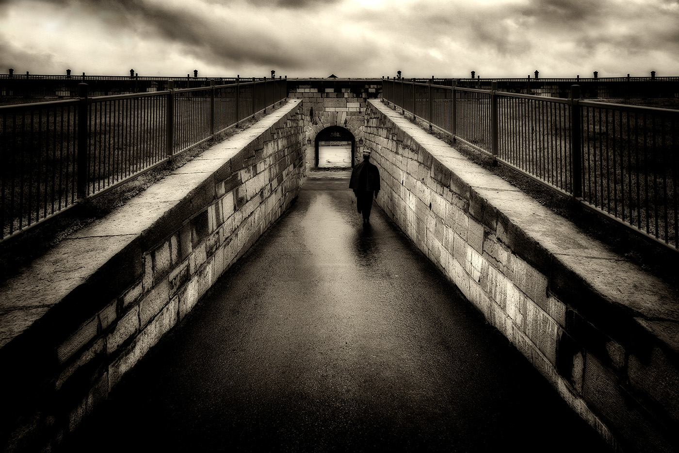 The Last Sentinel by Michael Laezza