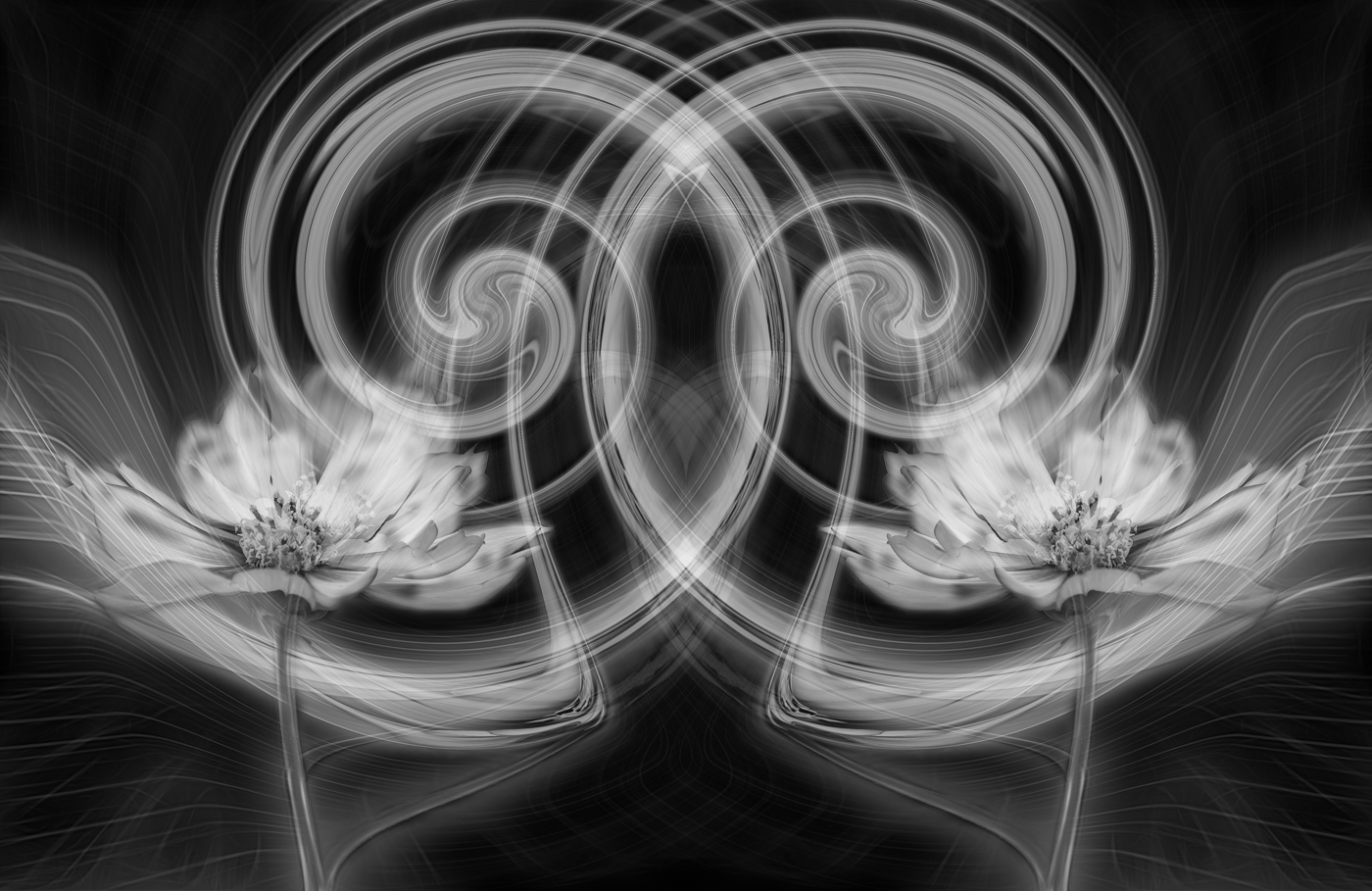 Cosmos Twins Swirls by Bob Legg