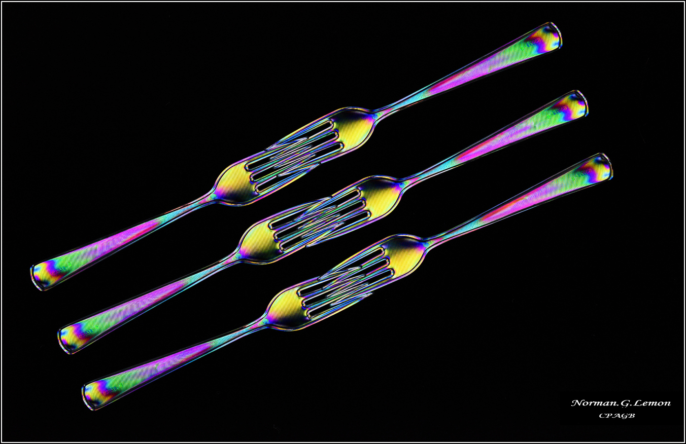 Forks and Forks by Norman Lemon