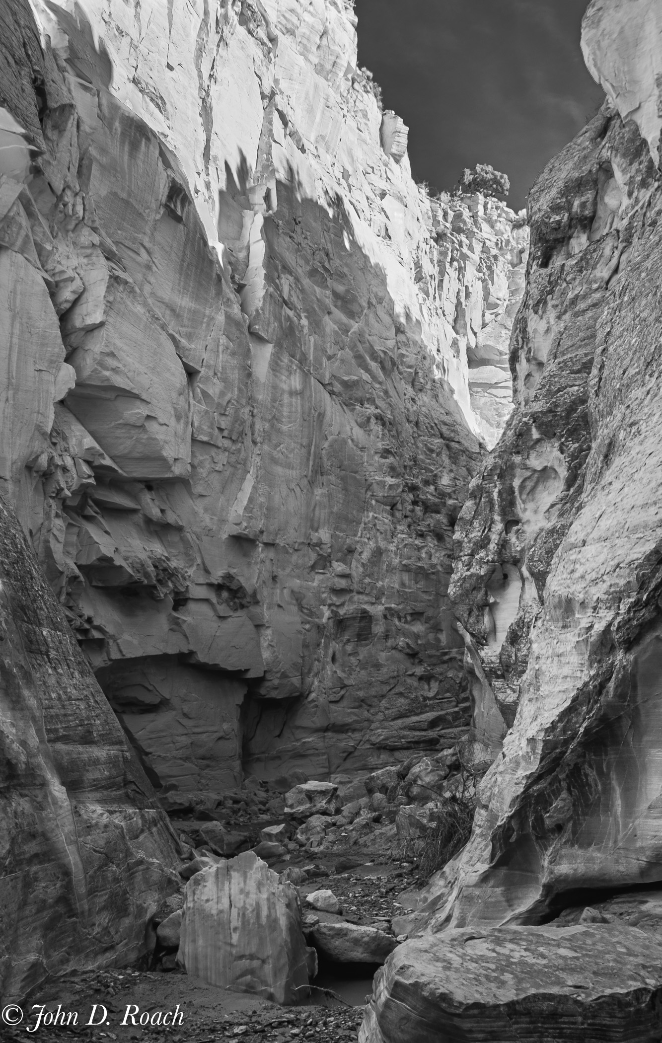 Cottonwood Slot Canyon by John Roach