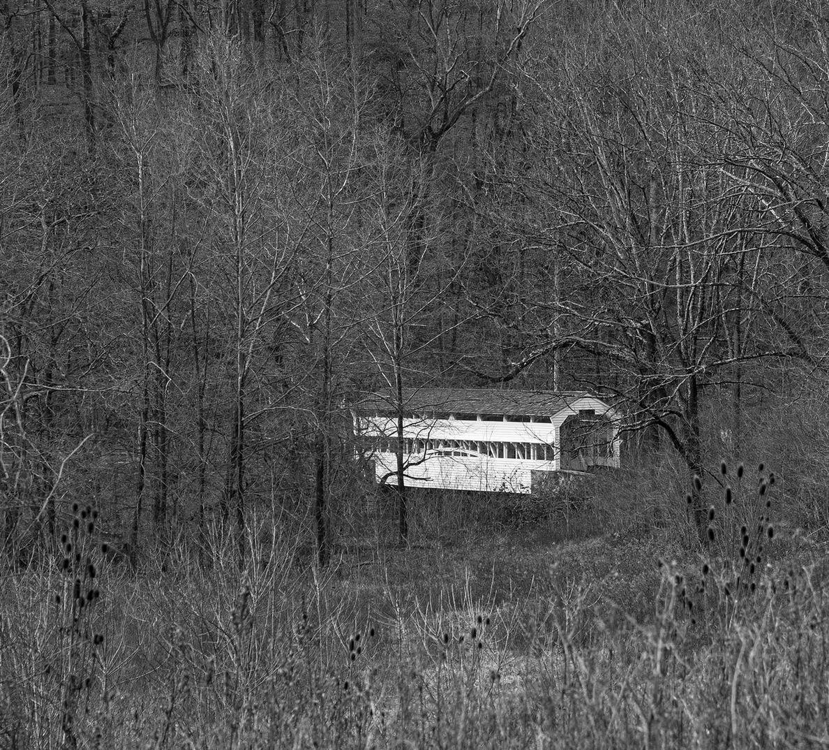 Covered Bridge by Jerry Snyder