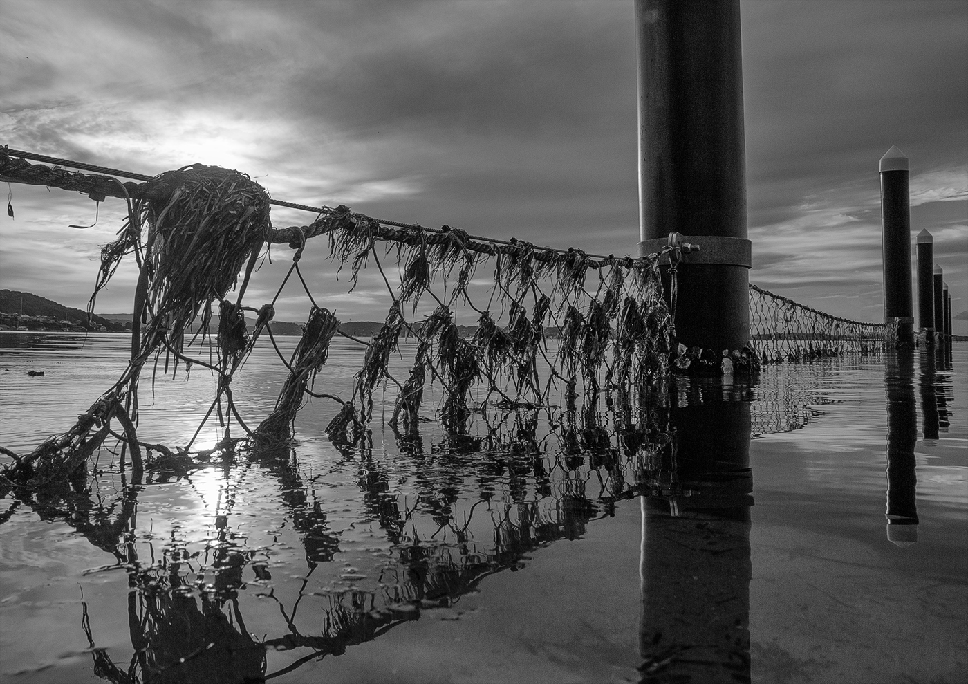 Net Gain by Chris Prior