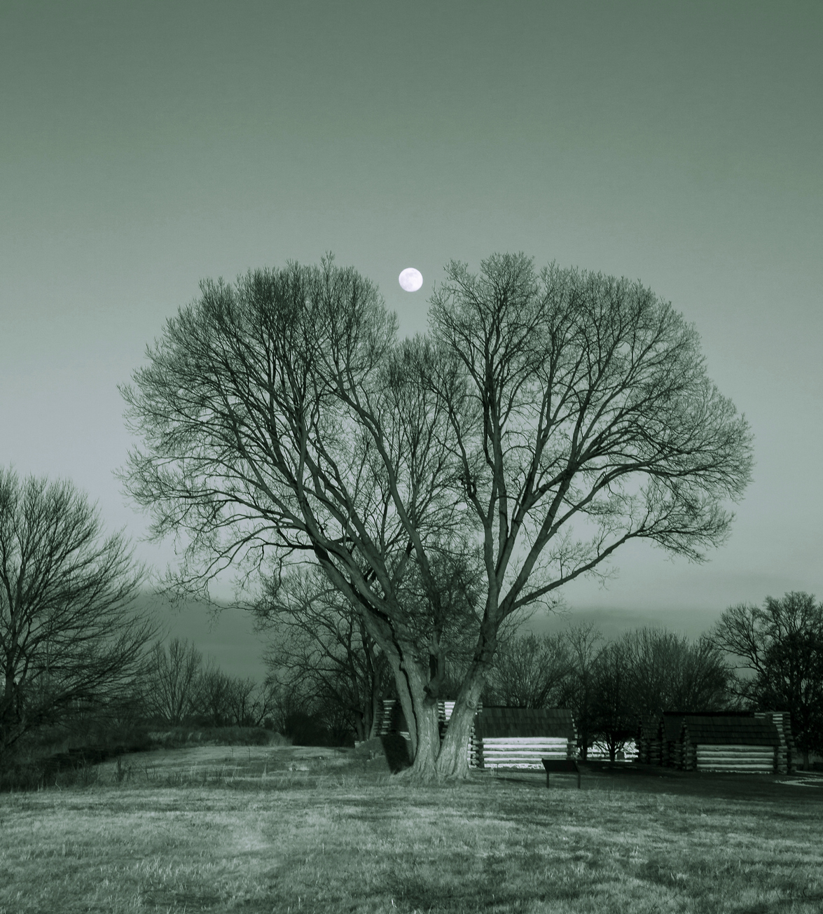 Moonrise by Jerry Snyder