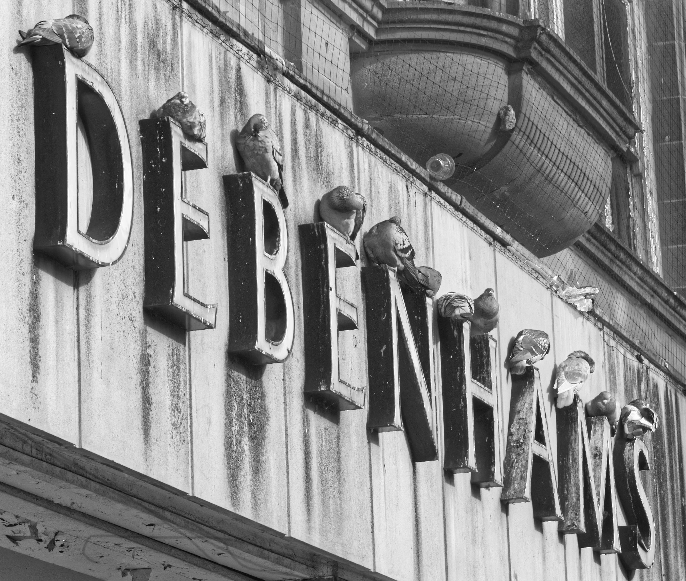 No flies on Debenhams