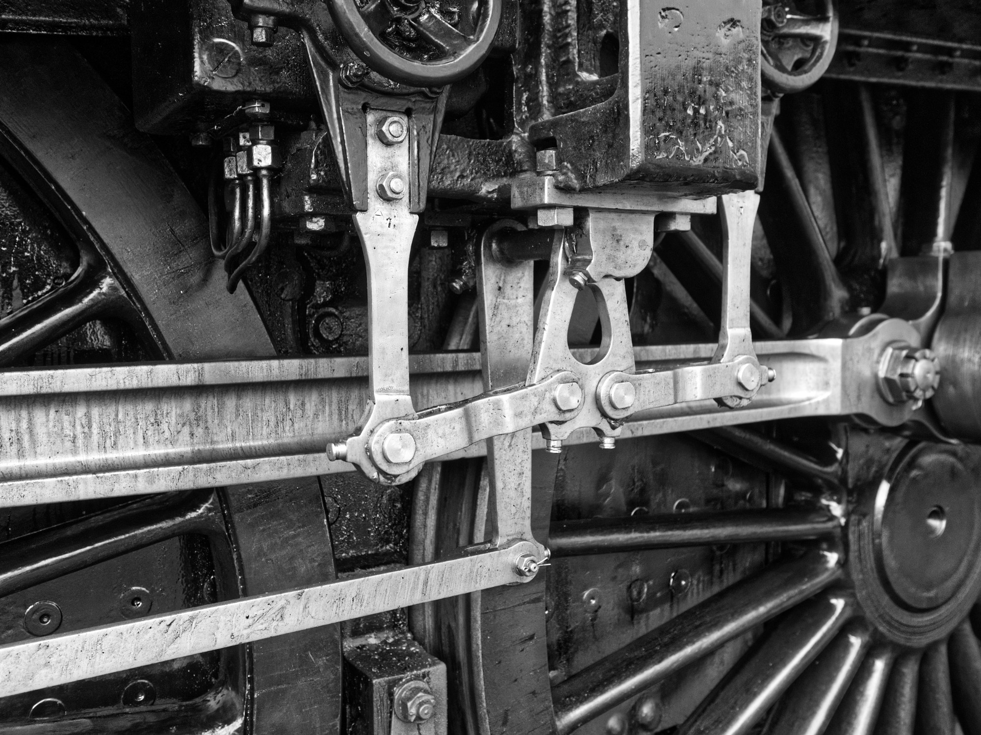 Sir Nigel by Stuart Ord