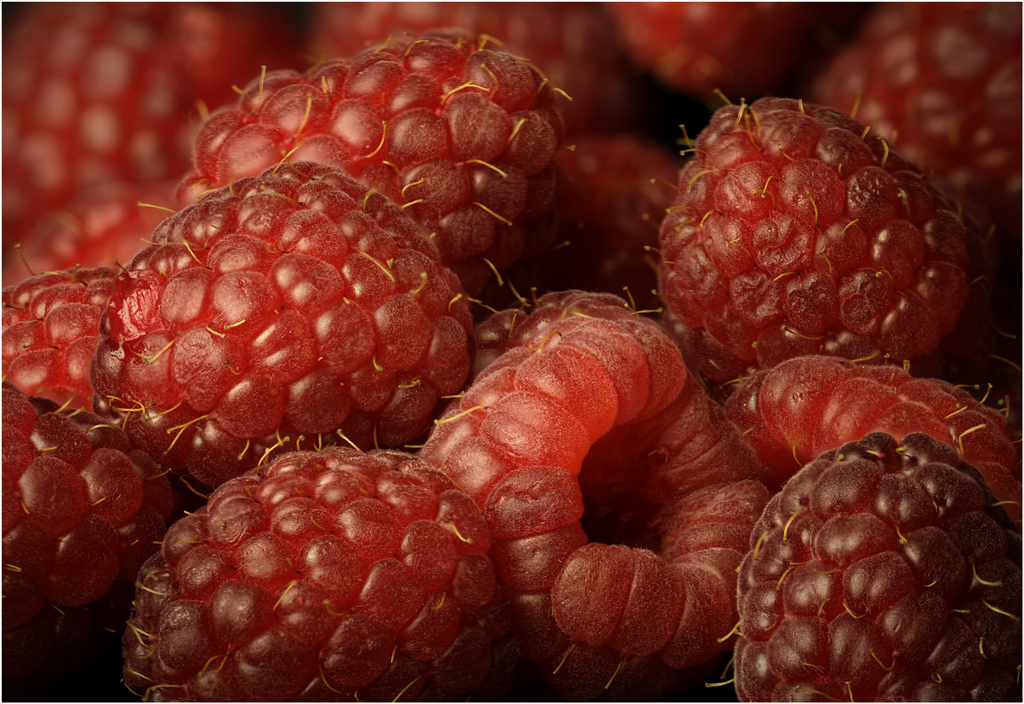 Raspberries by Dick States
