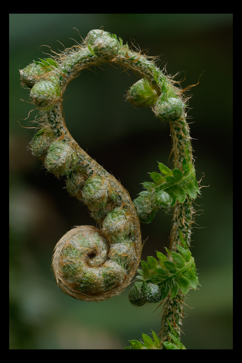 April 2026 - Maria Mazo, PPSA