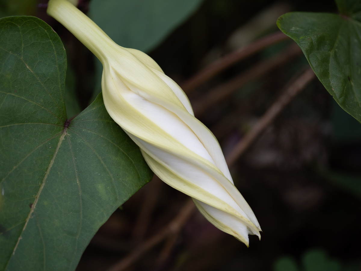 November 2025 - Denise McKay