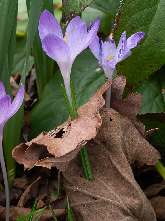 April 2026 - David Terao