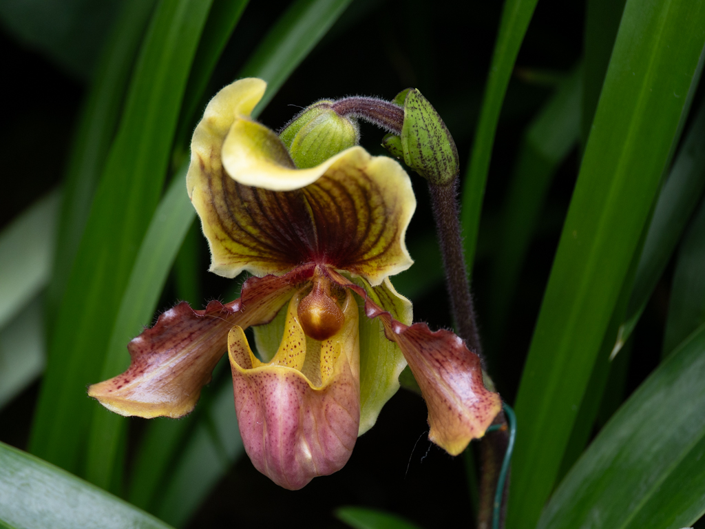 April 2026 - Denise McKay