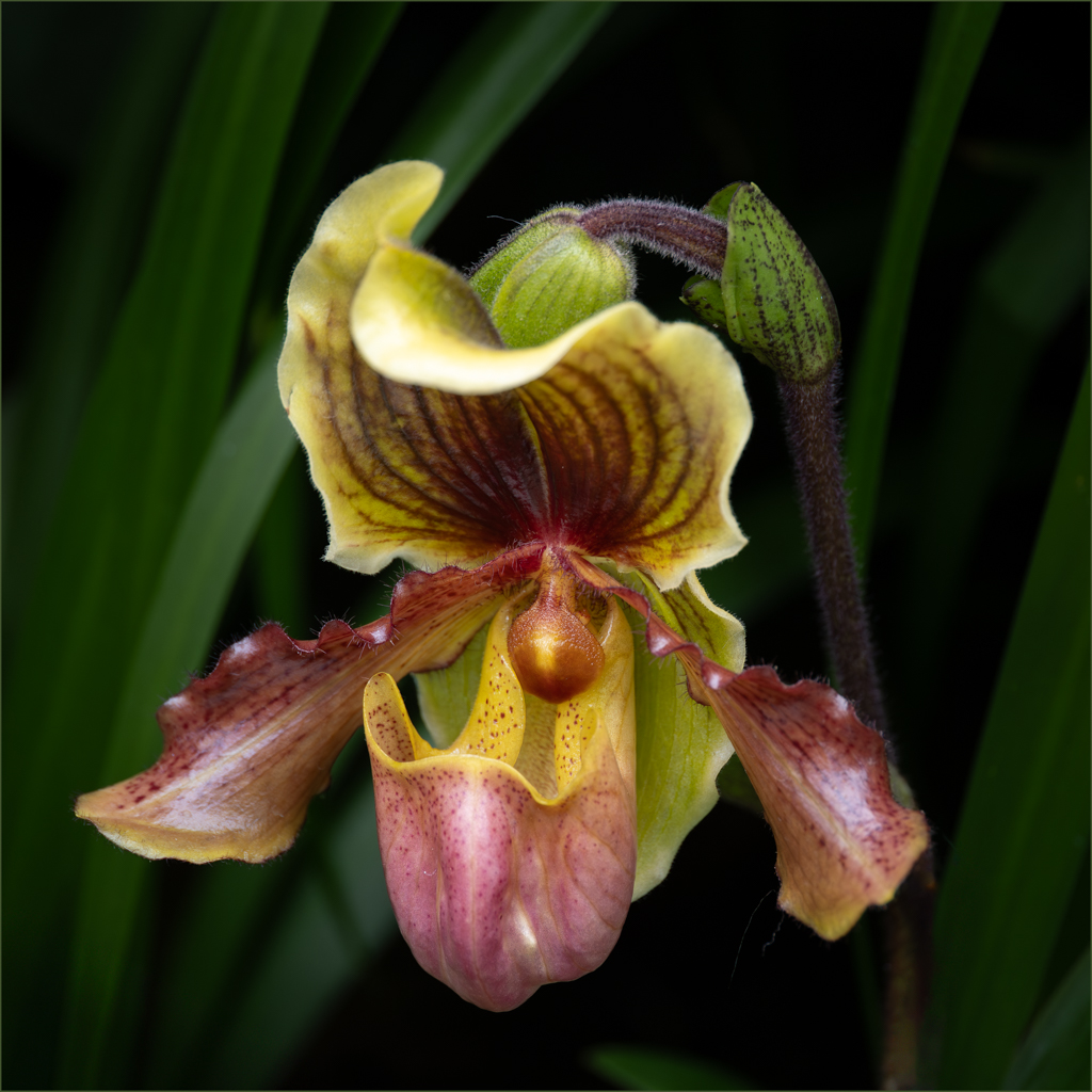 April 2026 - Denise McKay