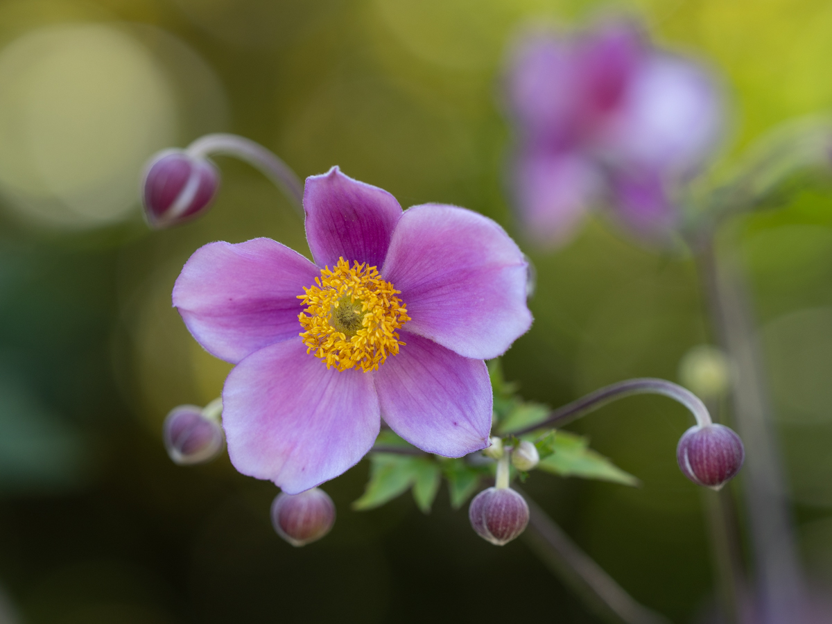 December 2025 - Denise McKay