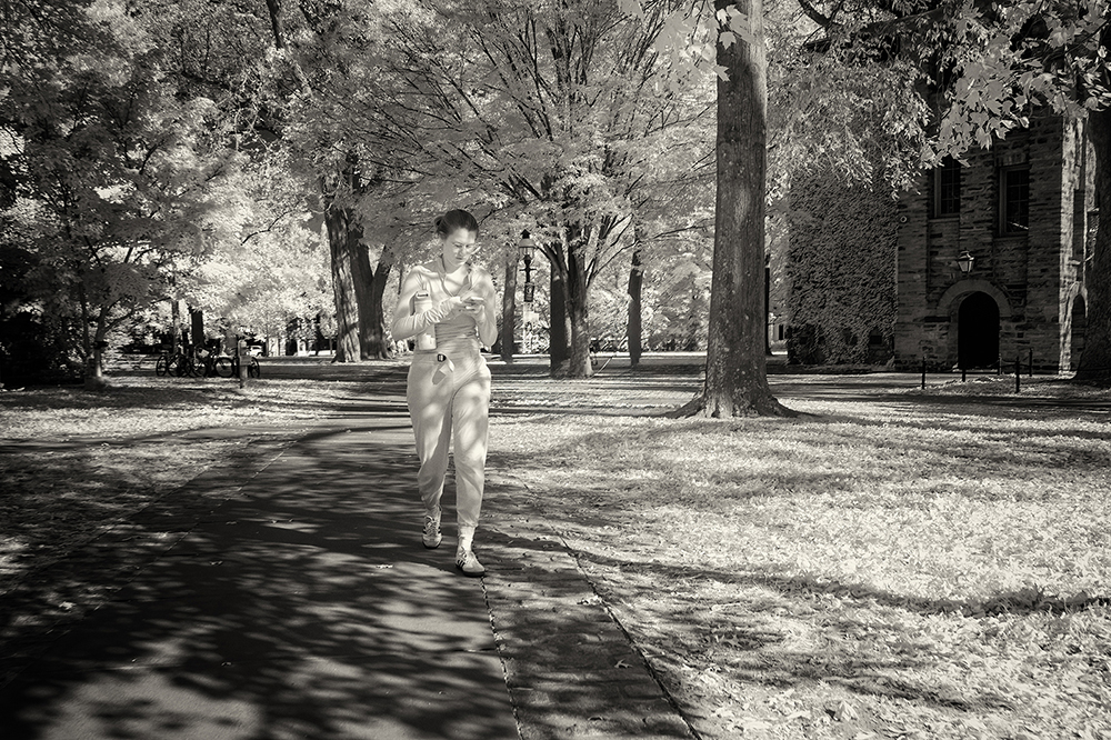 Autumn Walk in Princeton University by Arik Gorban