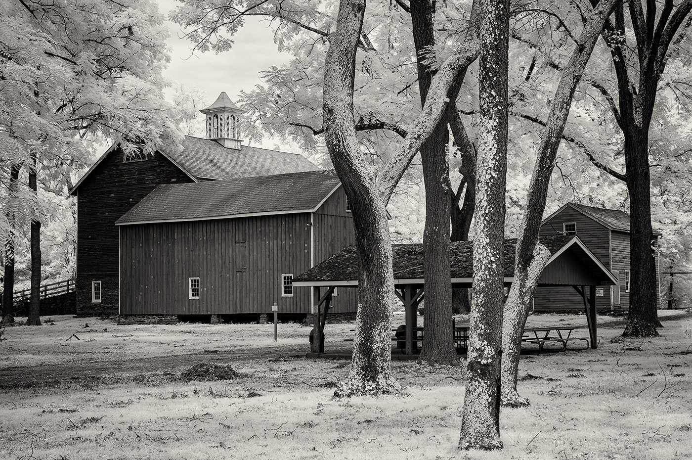 Tinicum Park by Arik Gorban