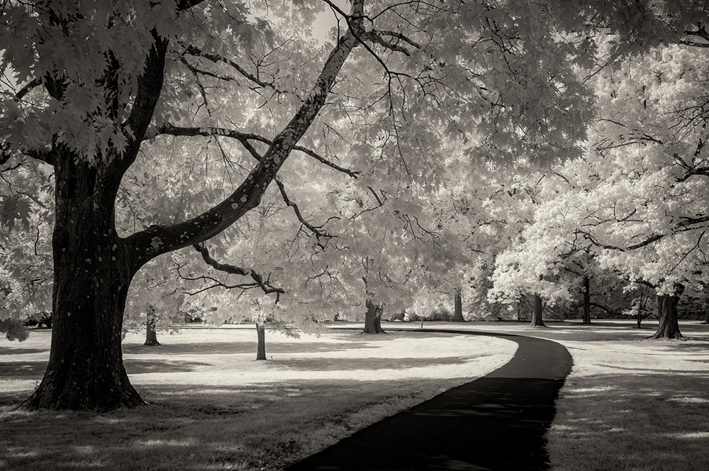 A Walk in the Park