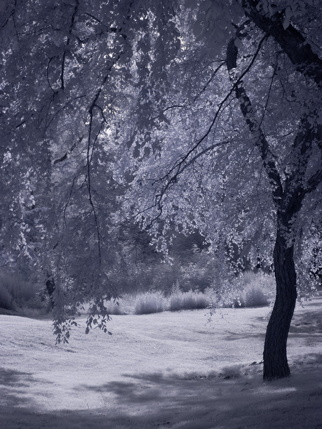 December 2025 - Arik Gorban