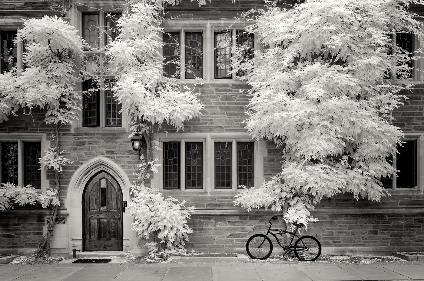 Princeton University by Arik Gorban