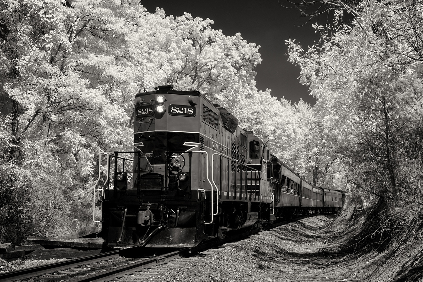 New Hope Railroad by Arik Gorban