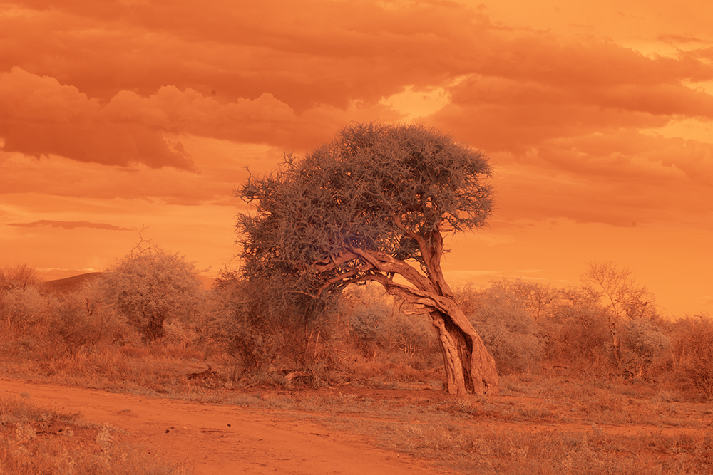 December 2025 - Melanie Hurwitz