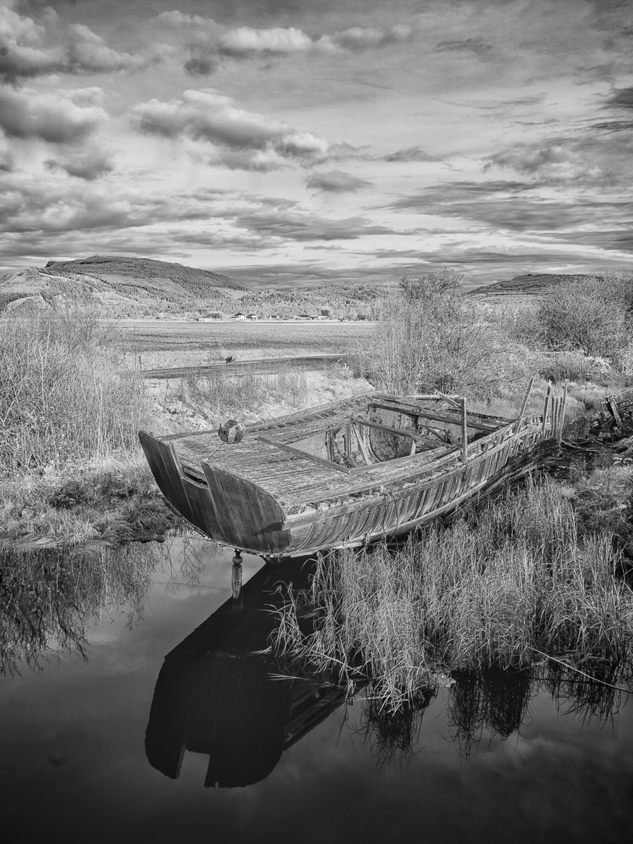 Along the Samish River