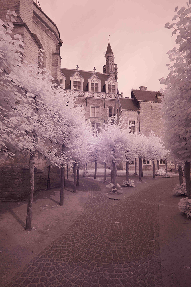 November 2025 - Steve Long