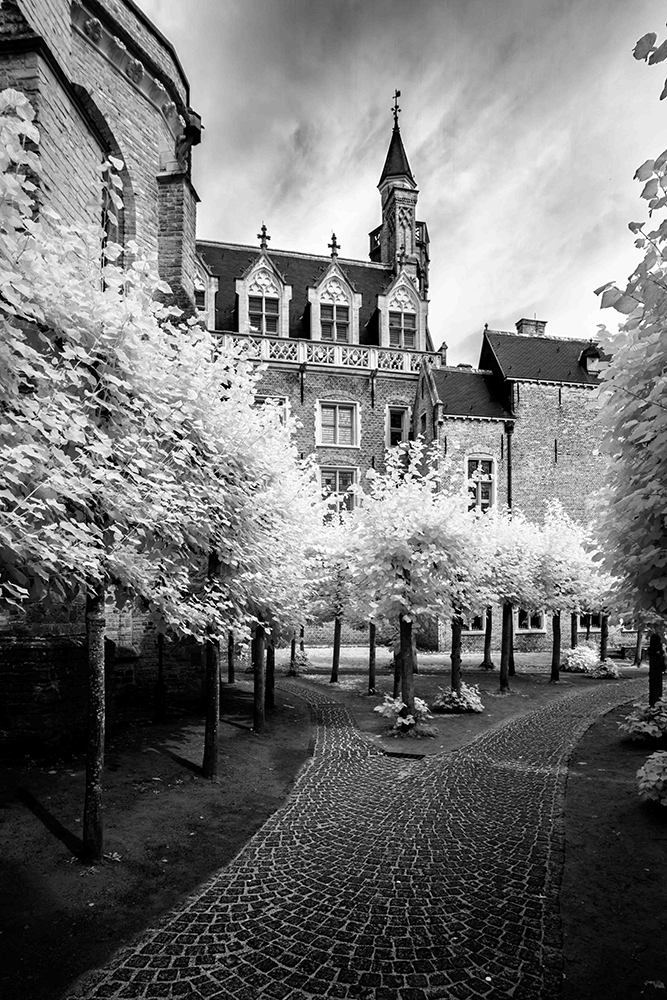 A Path Less Trodden by Steve Long