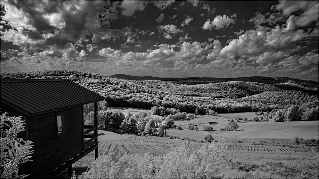 Cabin with a View by Charles Walker