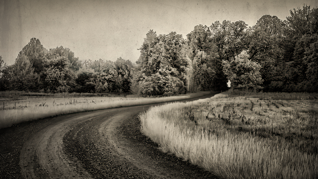 Callaway Fork Road