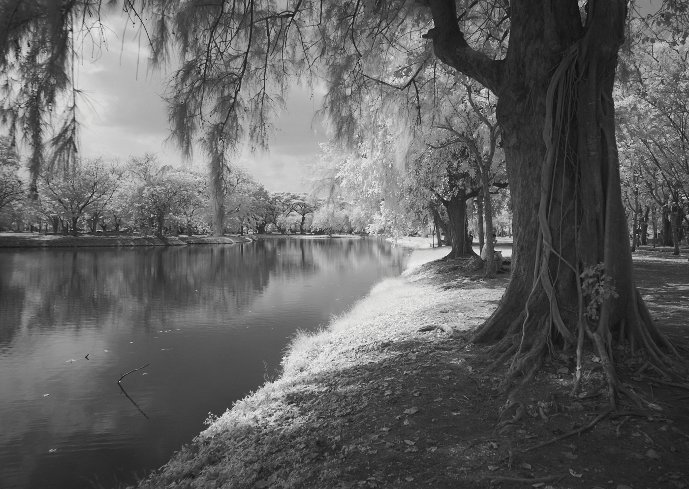 Along the River by Jack Florence Jr