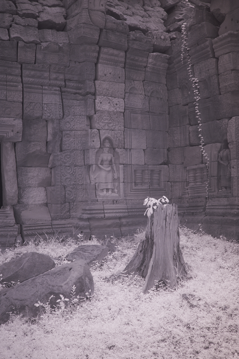 November 2025 - Jack Florence Jr