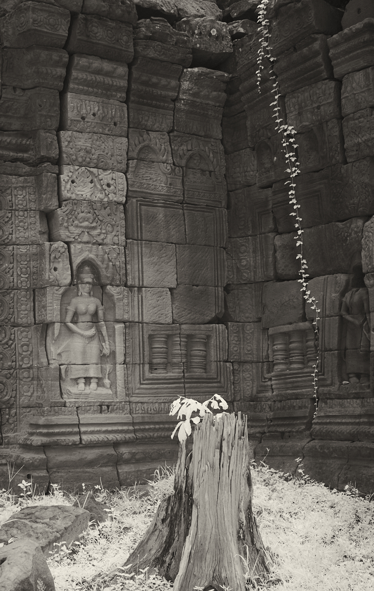 Decaying Temple by Jack Florence Jr