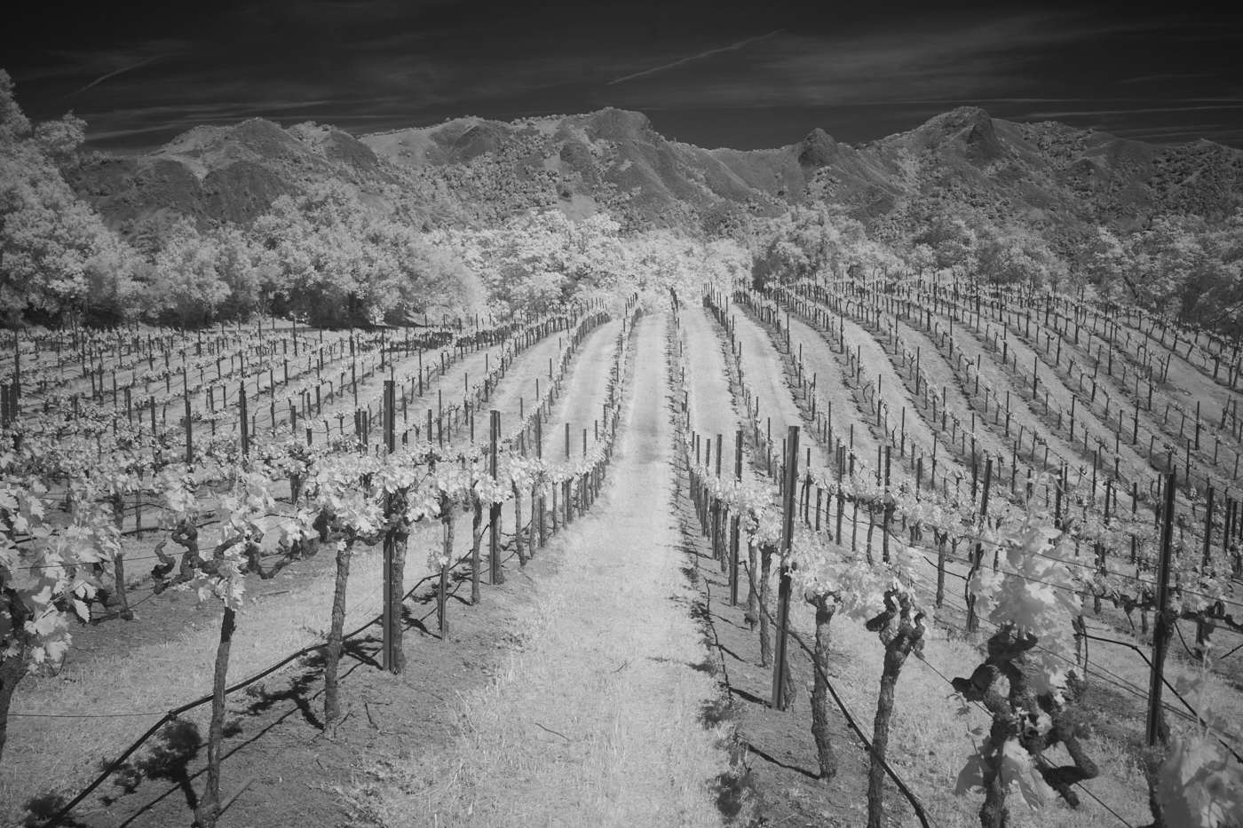 Day at the Office by Jack Florence Jr