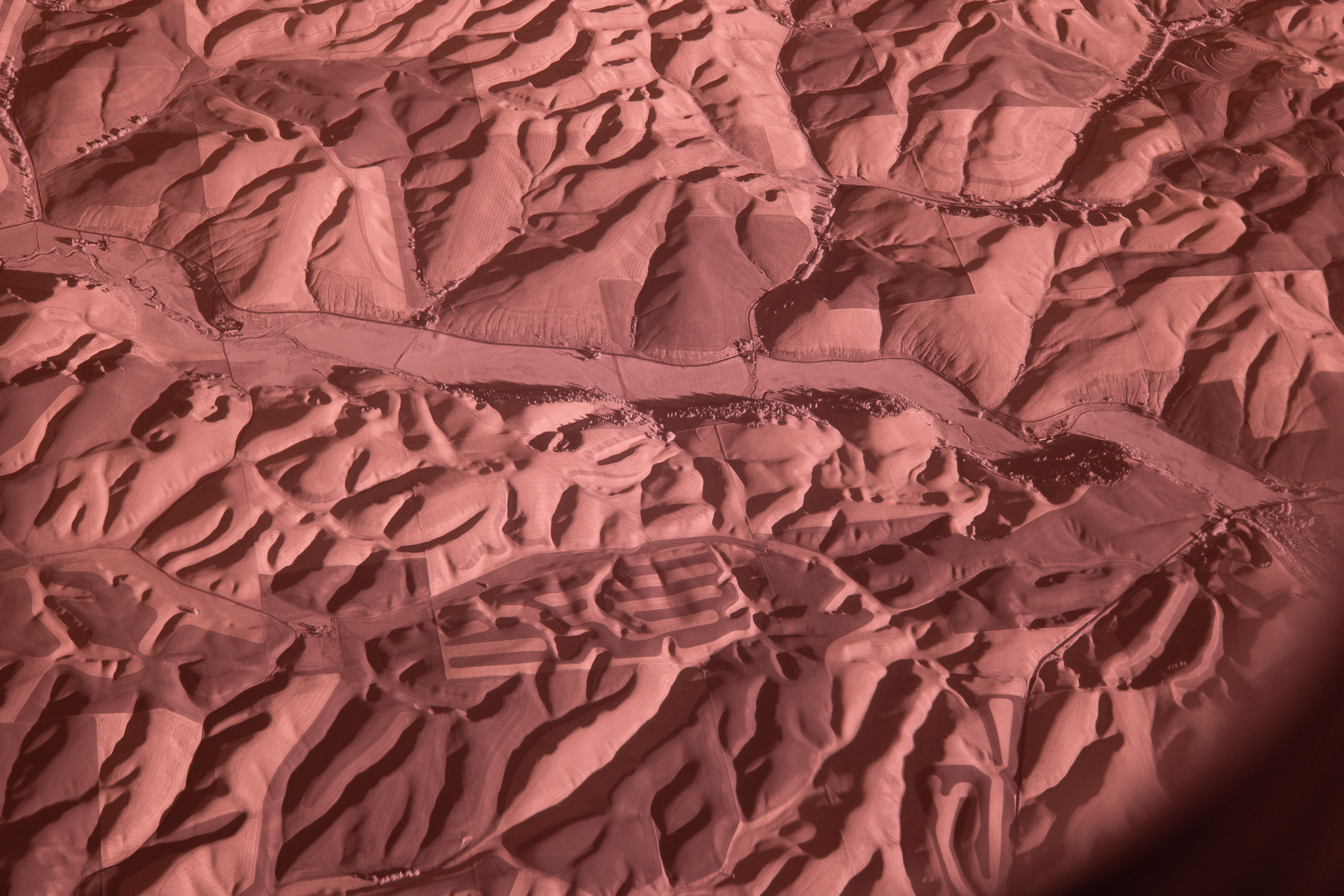 November 2025 - Henry Heerschap