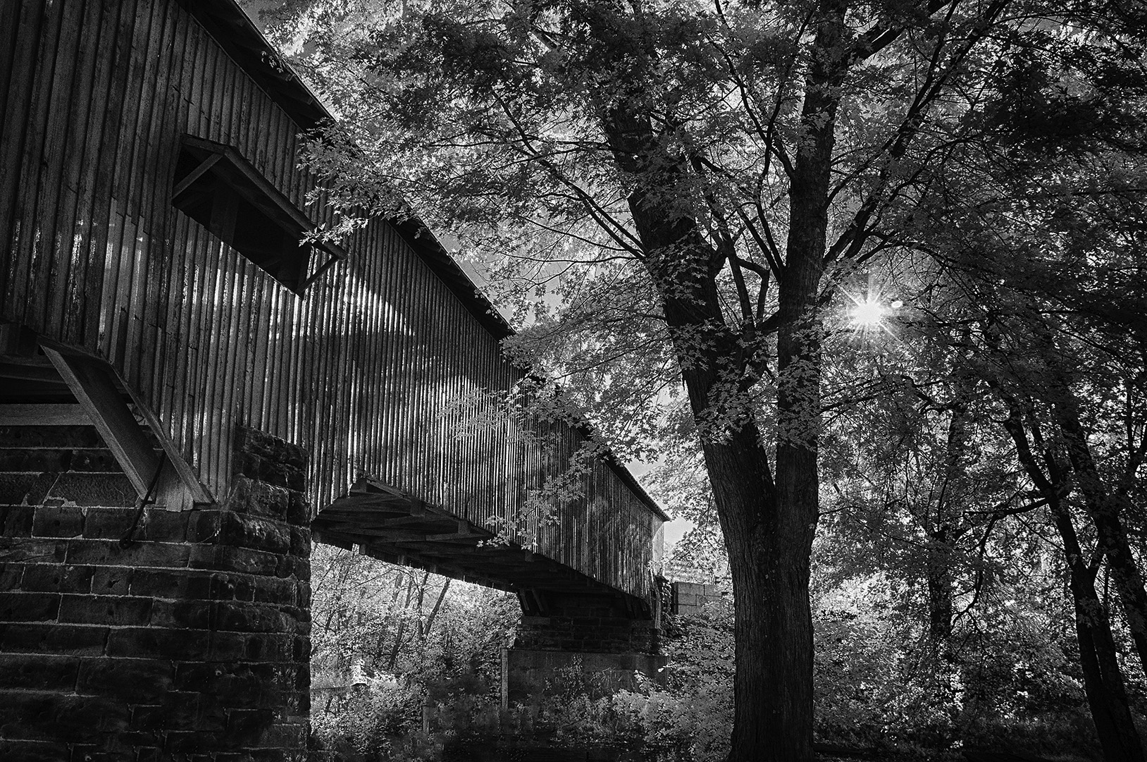 Covered Brige Morning by Gary Potts