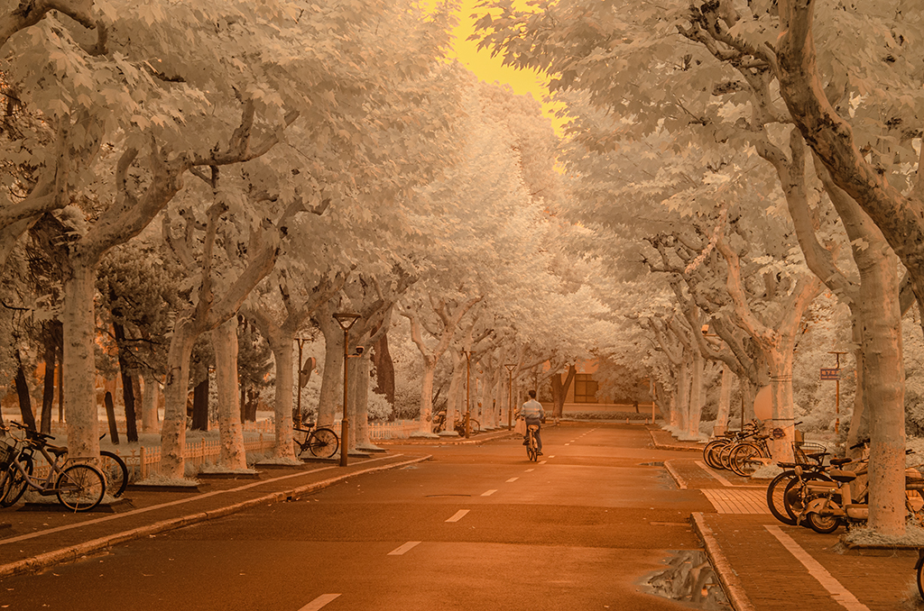 November 2025 - Charles Walker