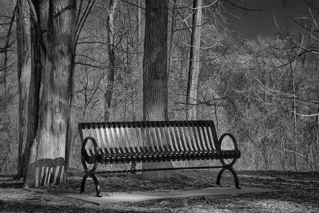 Park Bench      by Emil Davidzuk