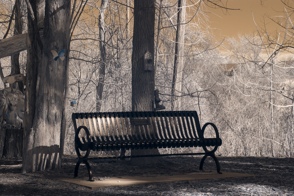 April 2026 - Emil Davidzuk