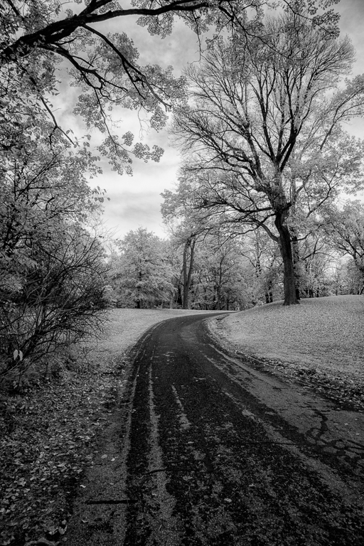 Around the Bend by Emil Davidzuk