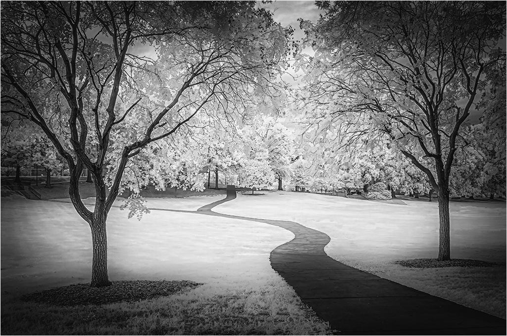 Path Across the Common by Charles Walker