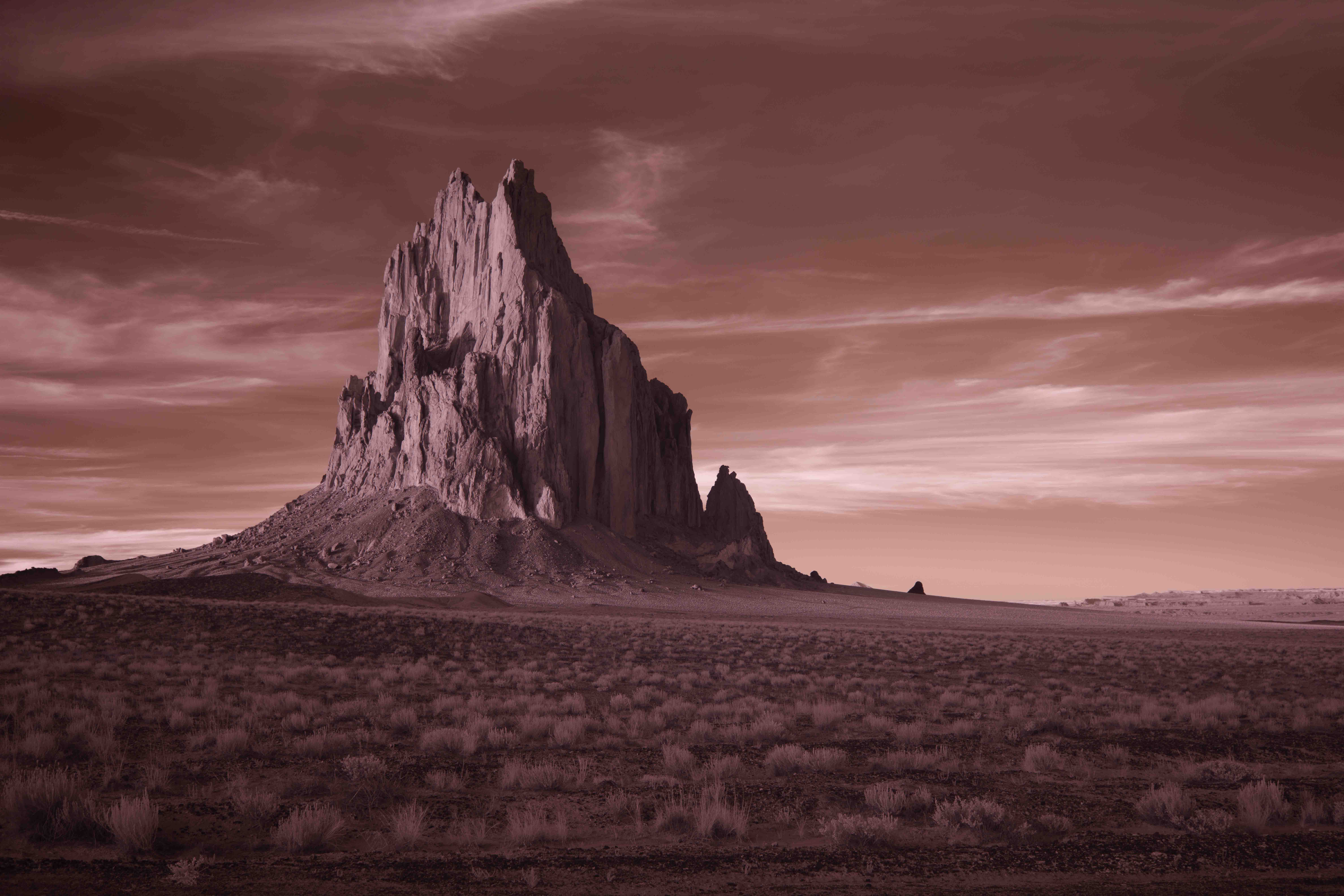 December 2025 - Steve Long