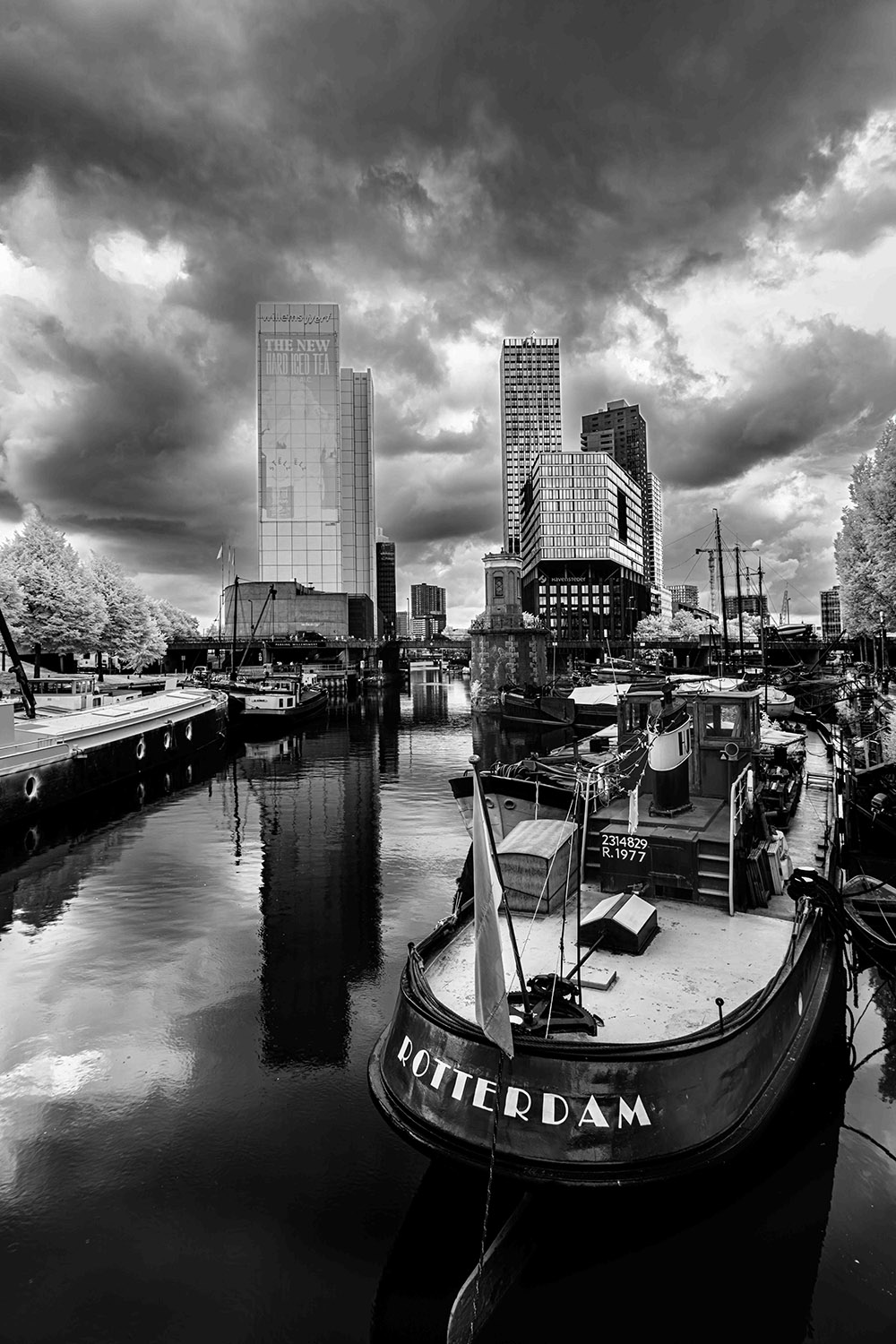 Rotterdam by Steve Long